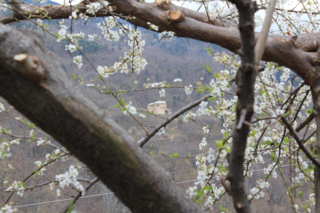 ...attraverso una cornice naturale..