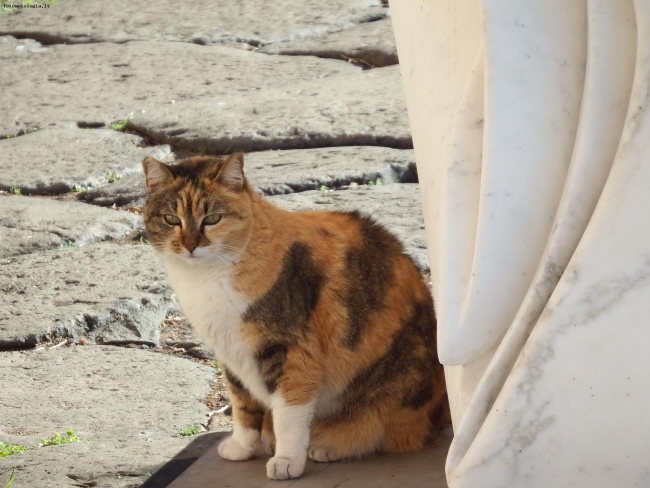 che guardi?