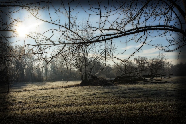 Malinconie d'inverno