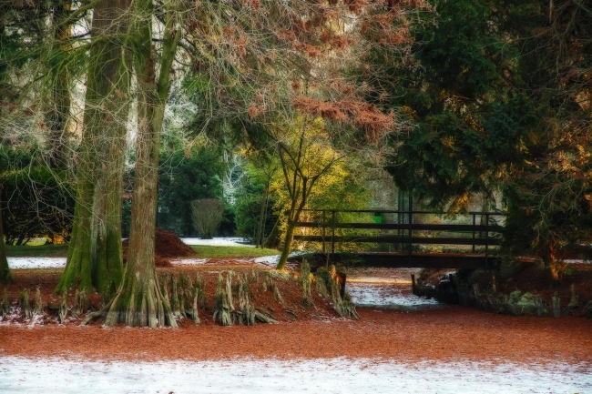 I colori dell'Inverno