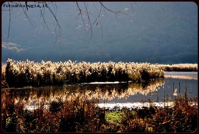 relax al lago 