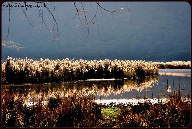 relax al lago 