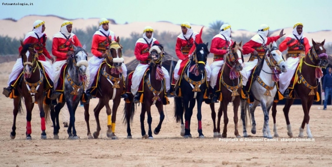 Festival del Sahara