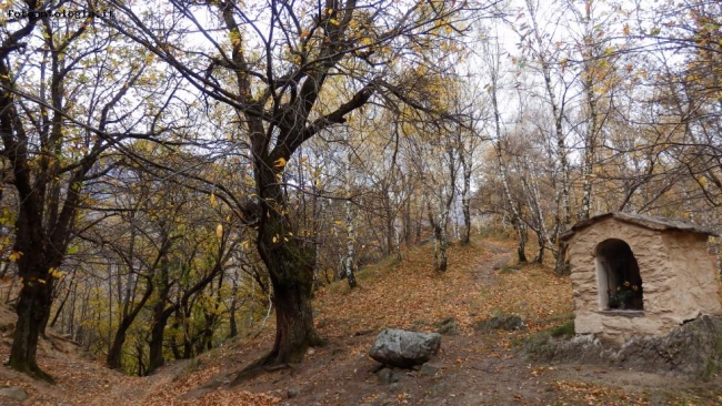 autunno