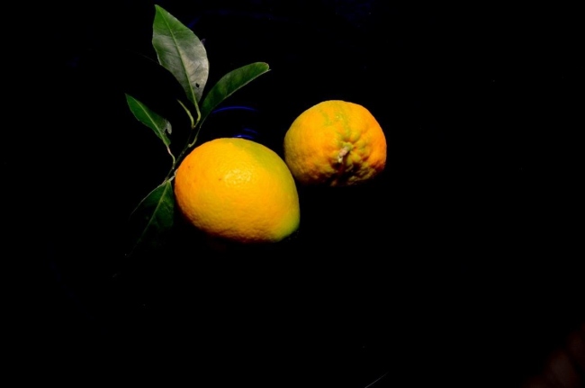 Limoni