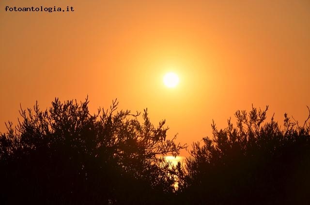 INCANTO DI SICILIA