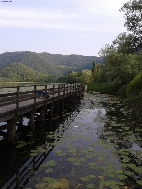 Il pontile