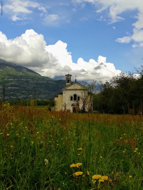 Colli Euganei
