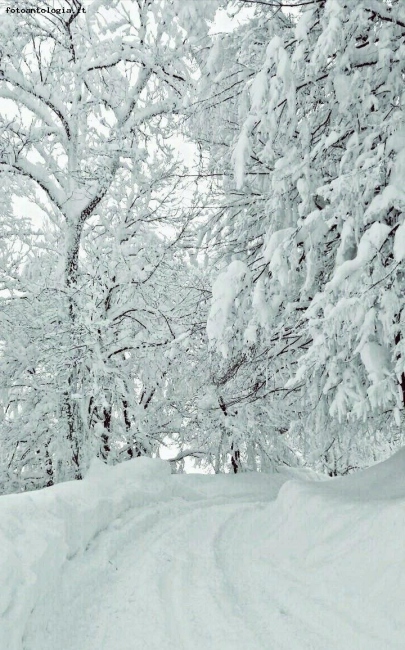 Paesaggi innevati 