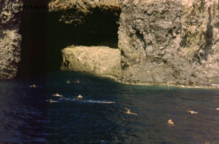Filicudi - Grotta del Bue Marino