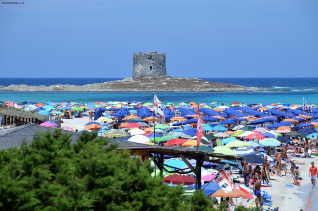 La Pelosa