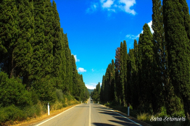 Castagneto Carducci