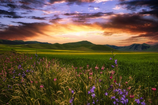 Castelluccio di Norcia