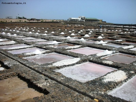 Saline di El Carmen