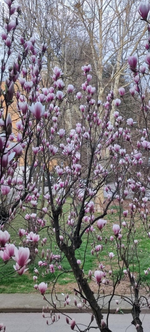 Primavera in arrivo