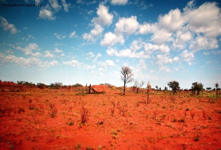 Simpson Desert,Australia