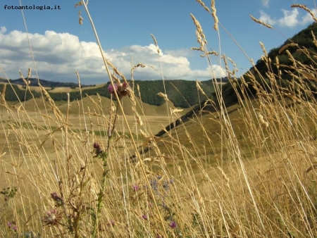 panorama castelluccio di norcia