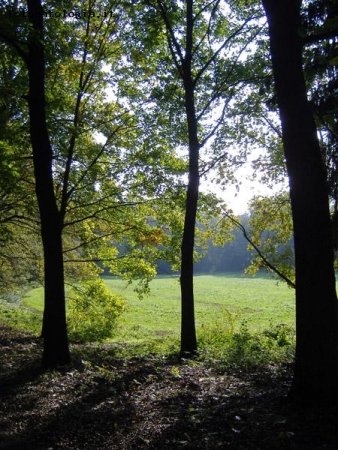 Pomeriggio al parco di Monza