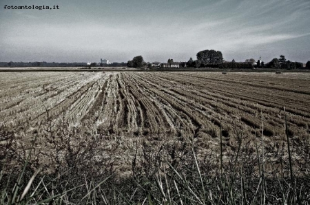 Le convergenze parallele
