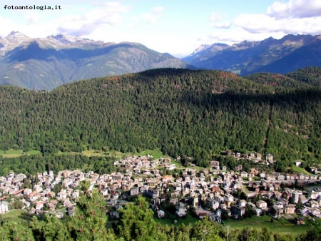 Aprica