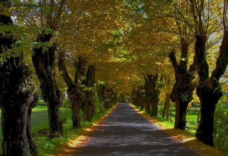 la strada autunnale