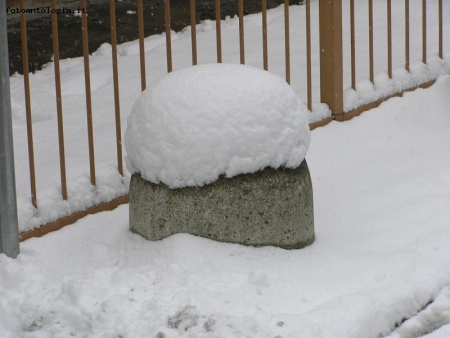 PANETTONE INNEVATO