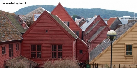 case a Bergen