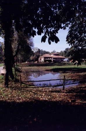 Parco di Monza - Dopo la pioggia