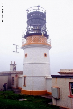 Faro