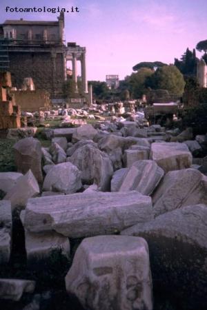 Roma - Il Foro