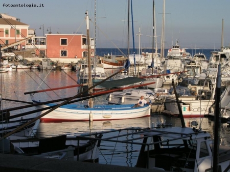 Stintino - Il porto