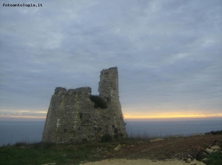 la torre  sola