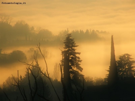 nebbia sul baldo