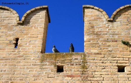 Torre di Palme