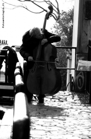 Il Violoncellista