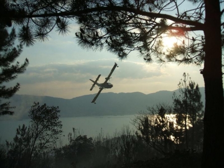 canadair sul golfo dei poeti