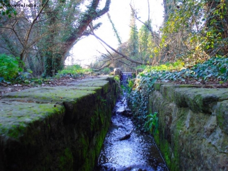 Canale del Mulino