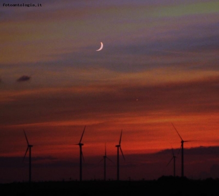 Pale e Luna