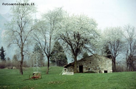 Paesaggio montano in Val Seriana