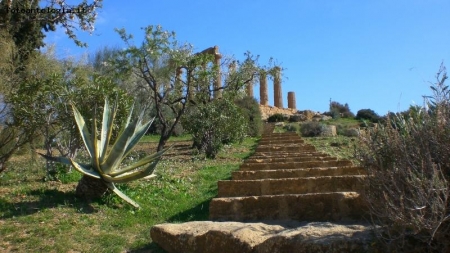 Valle dei Templi II