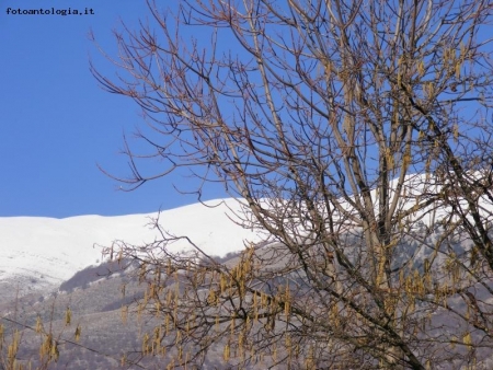 montagna innevata