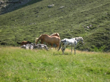 verso il passo