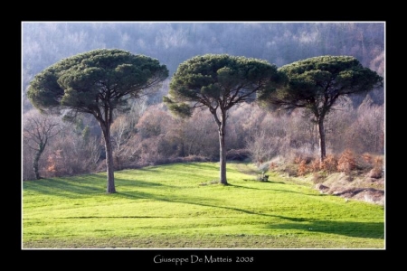 I COLORI DELL' INVERNO