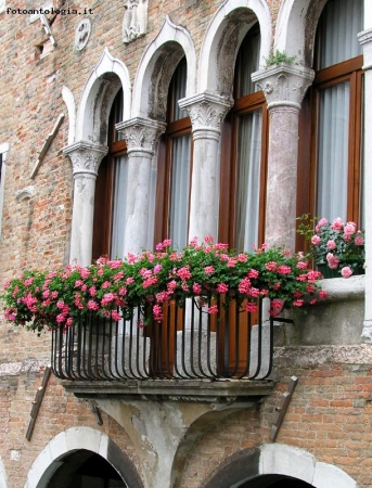 Balcone fiorito