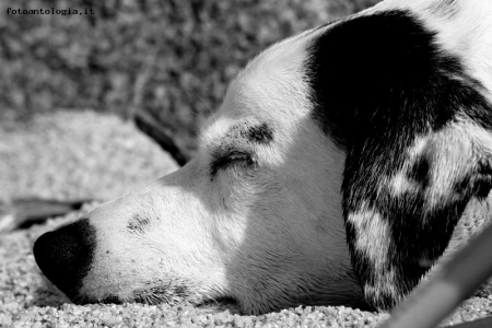 kenny...dolce dormire!!