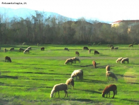 uscita primaverile