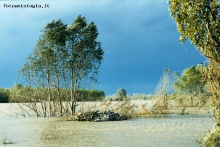 ...acqua dorata...