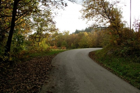 Serie d'autunno - La strada
