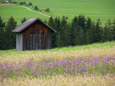 paesaggio tirolese