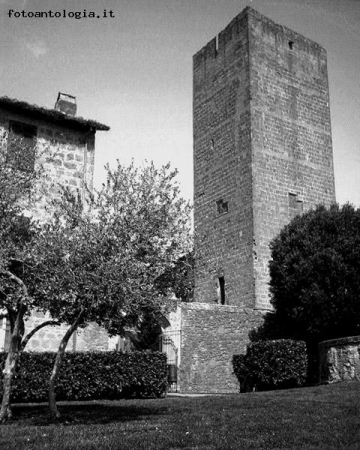 Tuscania - Torre di Lavello